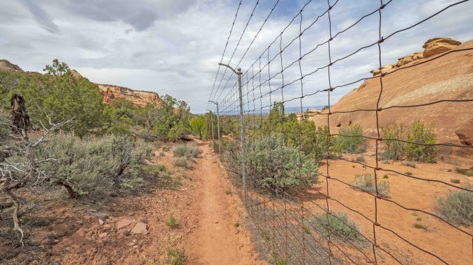Boundary Fence in the Wilderness