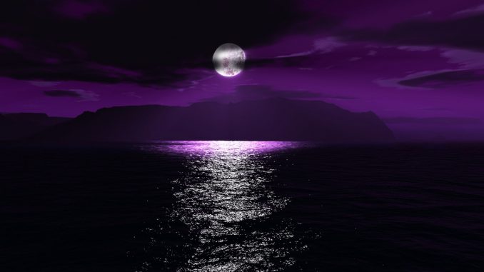 moonlight-digital_00344410
