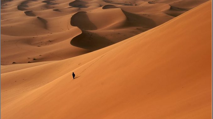 alone in desert hd wallpapers