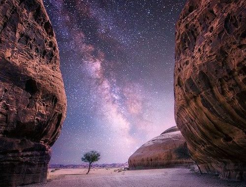 saudi night