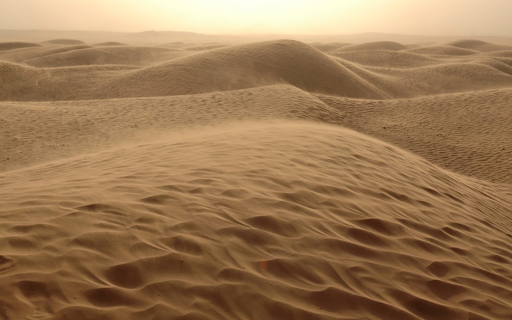 wind desert