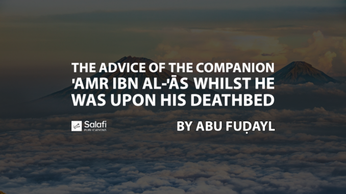 ABUFUDAYLV137