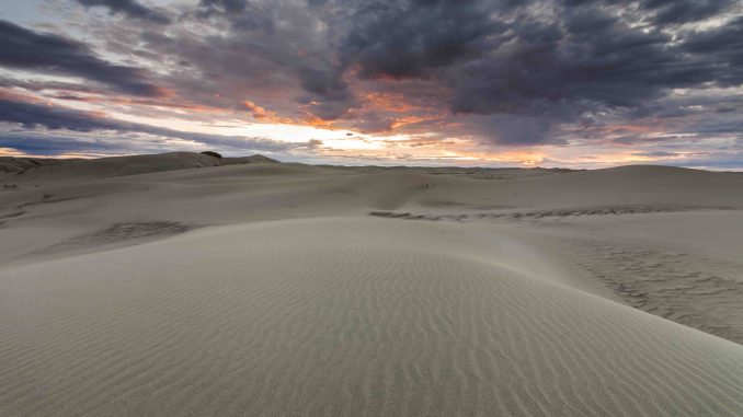 Beautiful Desert Landscape