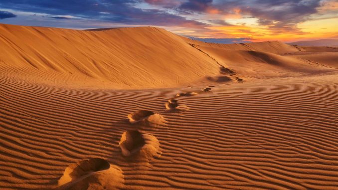 Desert Red Sky