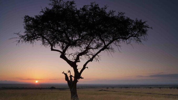 Sunset, Kenya