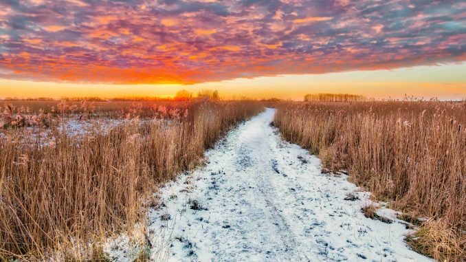 Red Sky Pathway