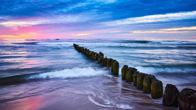 Purple Sunset