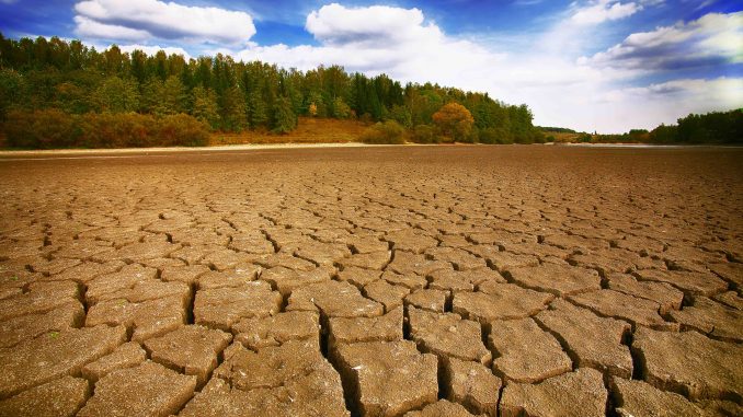 Cracked Ground