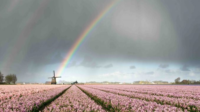 Rainbow Rain